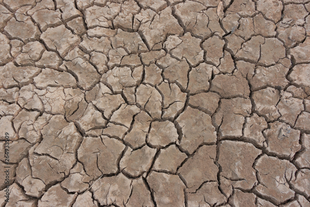 Drought, earth cracks, natural disaster Drought, earth cracks, natural disaster