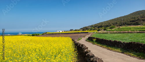 island of Udo on the background of green fields and blue sea, a trip to South Korea, a beautiful landscape