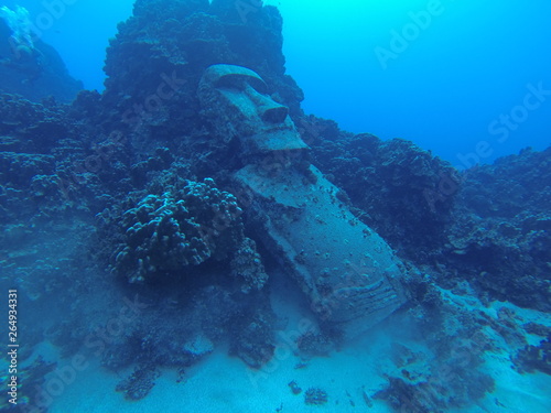 Versunkener Moai photo