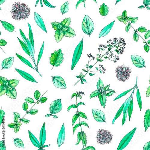 Seamless pattern with hand painted watercolor sage, mint, balm, oregano isolated on white. Repeating background with tea herbs for textile, packaging or scrapbooking.