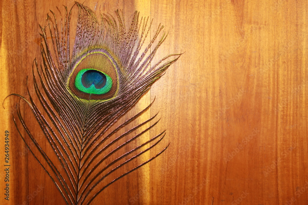 Fototapeta premium Wooden brown grain texture background with peacock feather