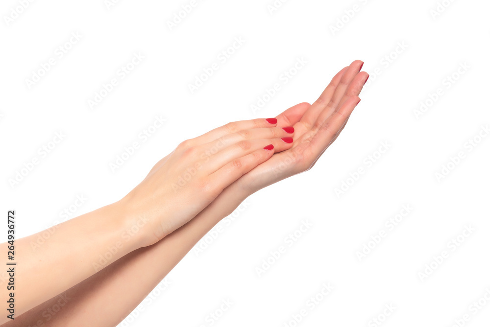 Beautiful female hands on white background.