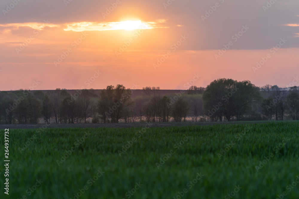 Sunset beautiful sunset field nature.