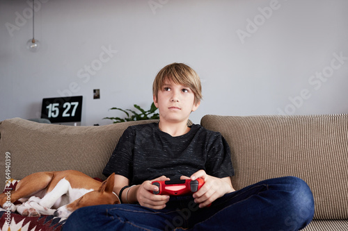 Concentraited young boy playing video game console seated on a sofa with basenji dog puppy sleeping close in living room at home. photo