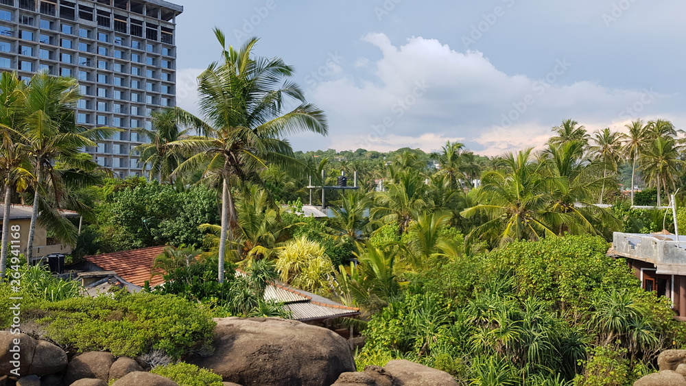 Fototapeta premium garden in Sri lanka