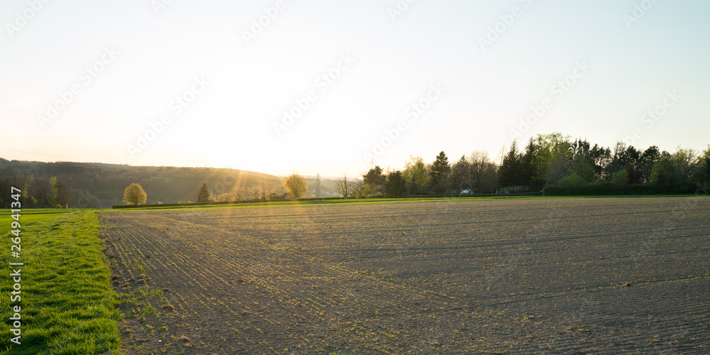 Fototapeta premium Magstadt