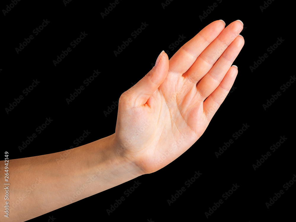 Woman showing open hand taking something or shaking Woman showing open hand taking something or shaking
