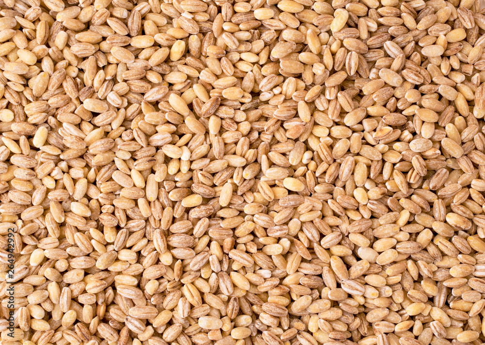 Pearl barley background. The form of the top. Pearl barley background. The form of the top.