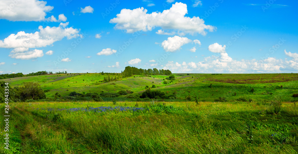 Beautiful panoramic view of green hills with trees on a sunny summer day
