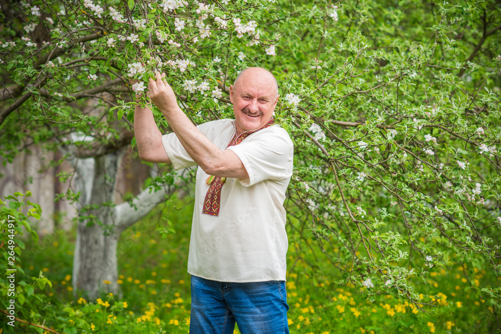 Senior man in embroidered shirt at blossom garden Senior man in embroidered shirt at blossom garden