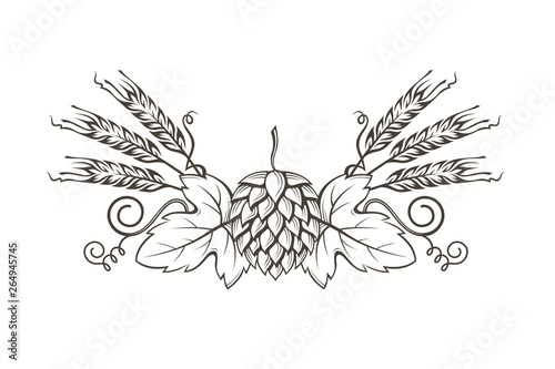 black illustration of hop and barley for brewing isolated on white background