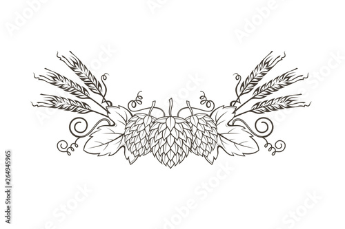 black illustration of hop and barley for brewing isolated on white background