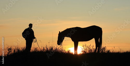 Man and horse silhouette in summer field in the early morning at sunrise