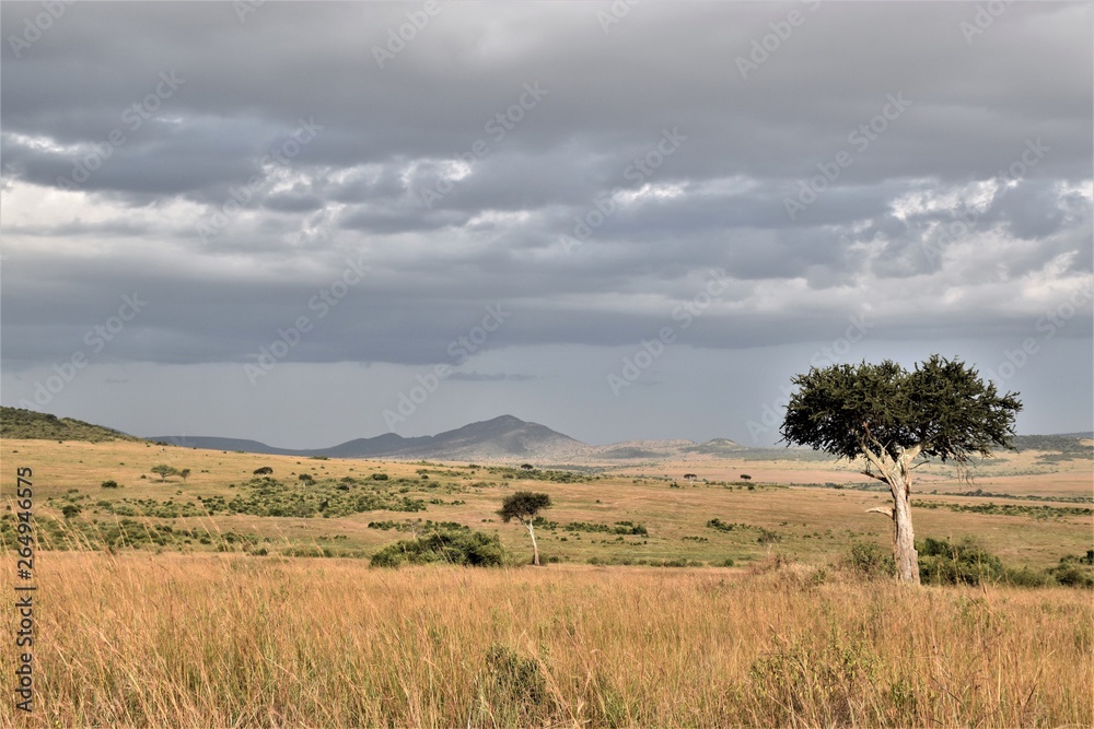 Nature in Africa