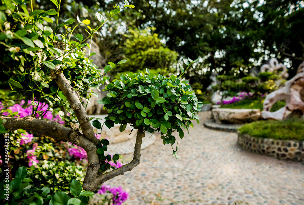 Luxury landscape design of the tropical garden. Beautiful view of tropical landscape Luxury landscape design of the tropical garden. Beautiful view of tropical landscape