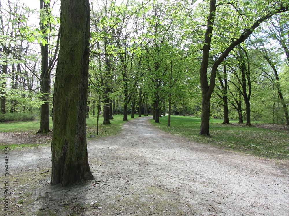 Theresienpark Theresienpark