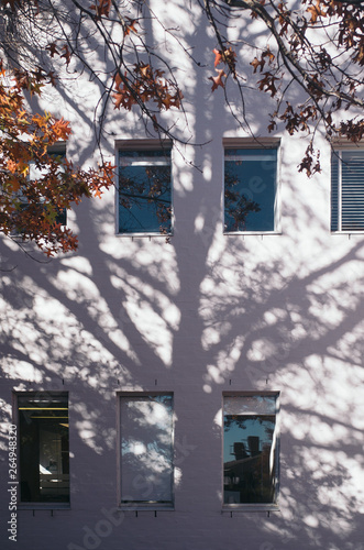 house with trees shadow © Baoyan Zeng