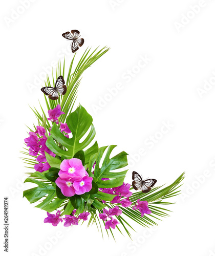 Catharanthus flowers and bo...
