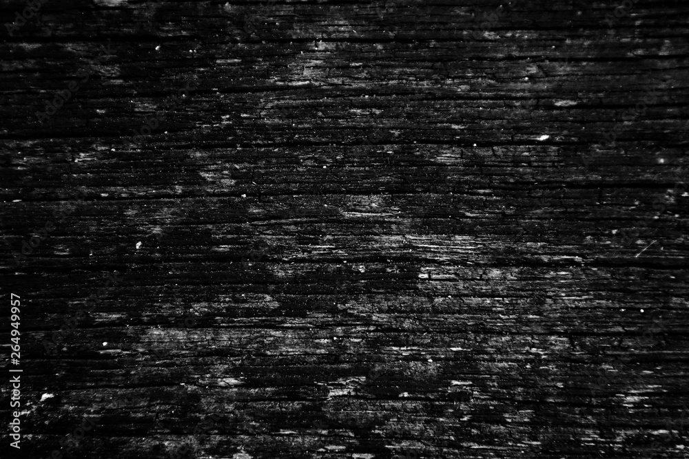 Obraz premium Beautiful rock wood and stone abstract texture background and wallpaper