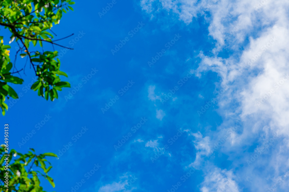 Web spring jungle frame banner. Green leaves against blue white sky, white clouds. Sunlight coming through. Realistic picture Paradise. Christmas ornamental background. Copy space room in right side. Web spring jungle frame banner. Green leaves against blue white sky, white clouds. Sunlight coming through. Realistic picture Paradise. Christmas ornamental background. Copy space room in right side.