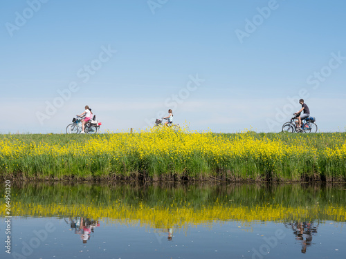 family rides bicycle along water of valleikanaal near leusden in the netherlands and passes yellow blooming flowers of rapeseed photo