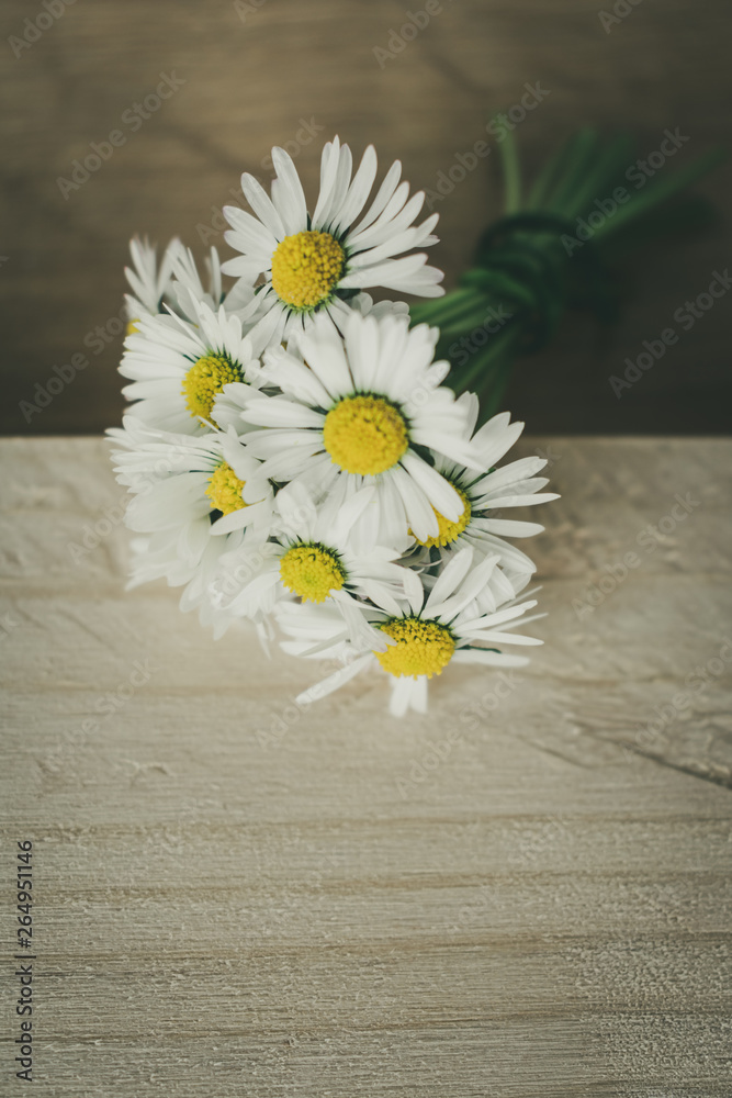 Obraz premium Close up of blooming daisies on rustic wooden background. Vintage floral spring background or daisies background