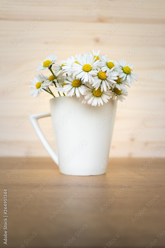 View of a bunch of fresh daisies in a white porcelain cup or vase on a wooden background. Hello spring or spring flowers background View of a bunch of fresh daisies in a white porcelain cup or vase on a wooden background. Hello spring or spring flowers background