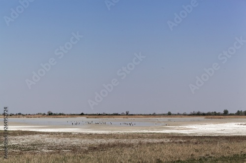 View on the lake Zicksee  a periodic soda lake in Austria