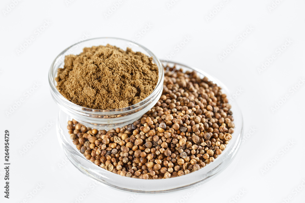 Coriander Isolated in white. Coriander Isolated in white.
