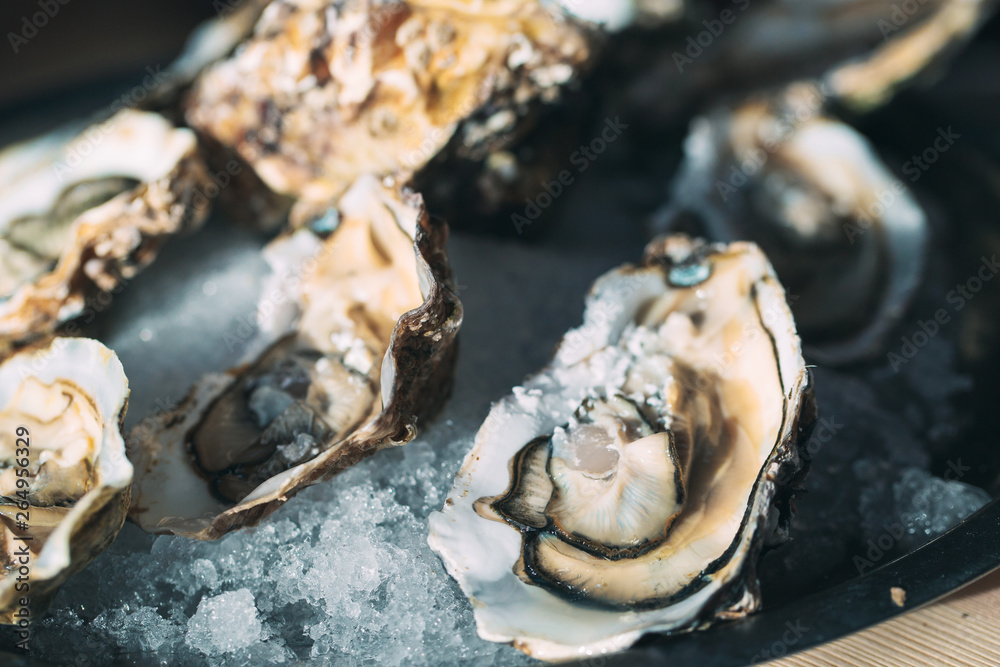 Oysters on the plate. Oysters on the plate.