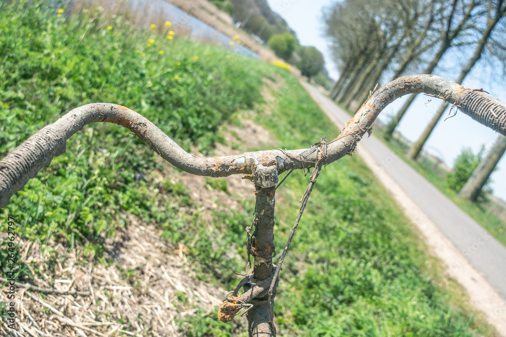Fototapeta premium Old Rusty Bike Lay in Grass
