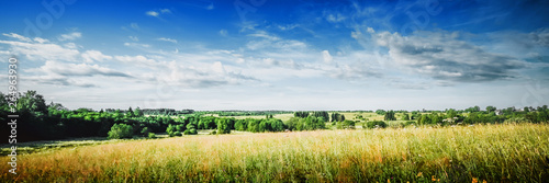 Rural nature landscape, meadow and forest