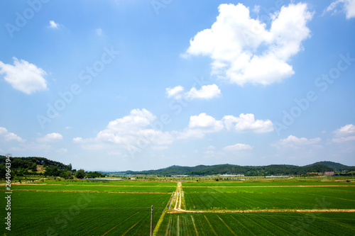 This is a rice paddy in Sangju-si, Korea.