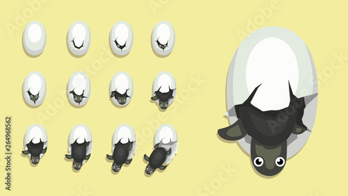 Animal Animation Sequence Egg Hatching Baby Turtle Cartoon Vector