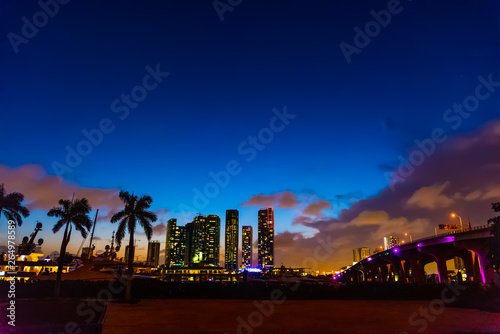 Downtown Miami and MacArthur causeway at night © Gabriele Maltinti