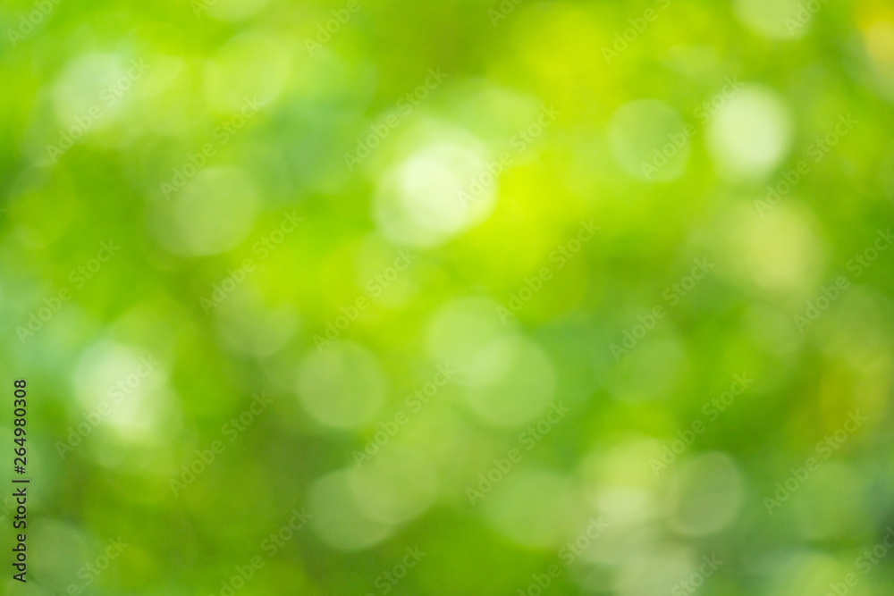 green nature background, abstract green bokeh