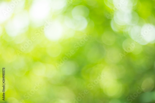 green nature background  abstract green bokeh