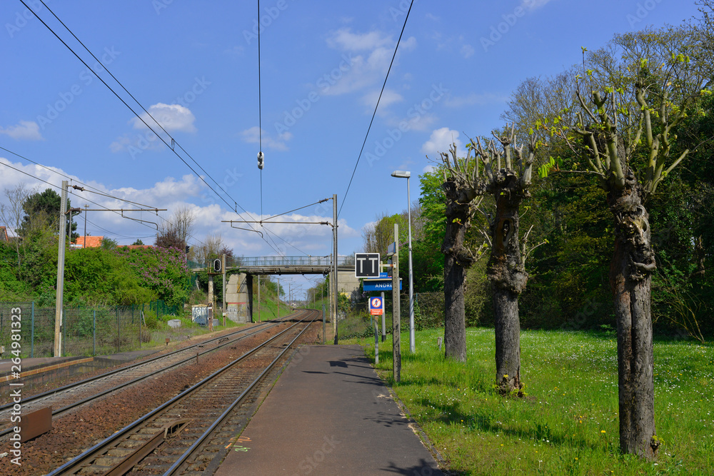 Trois arbres sur les rails à Andrésy (78570), département des Yvelines en région Île-de-France, France	