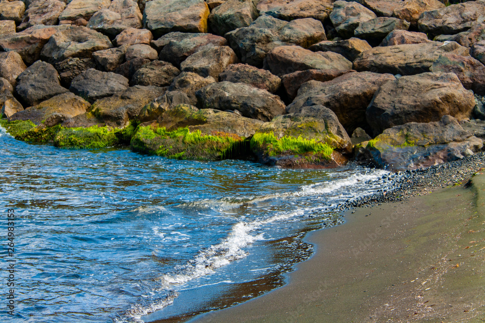 Fantastic close-up shots of green sea moss on rocks with sands and sea waves.