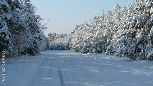 Lausitzer Winterlandschaft