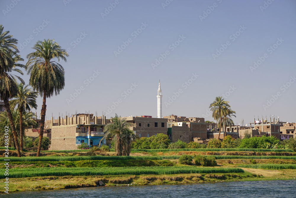 Fototapeta premium Nile River, Egypt: Houses, date palm trees, and a minaret along the east bank of the Nile River.