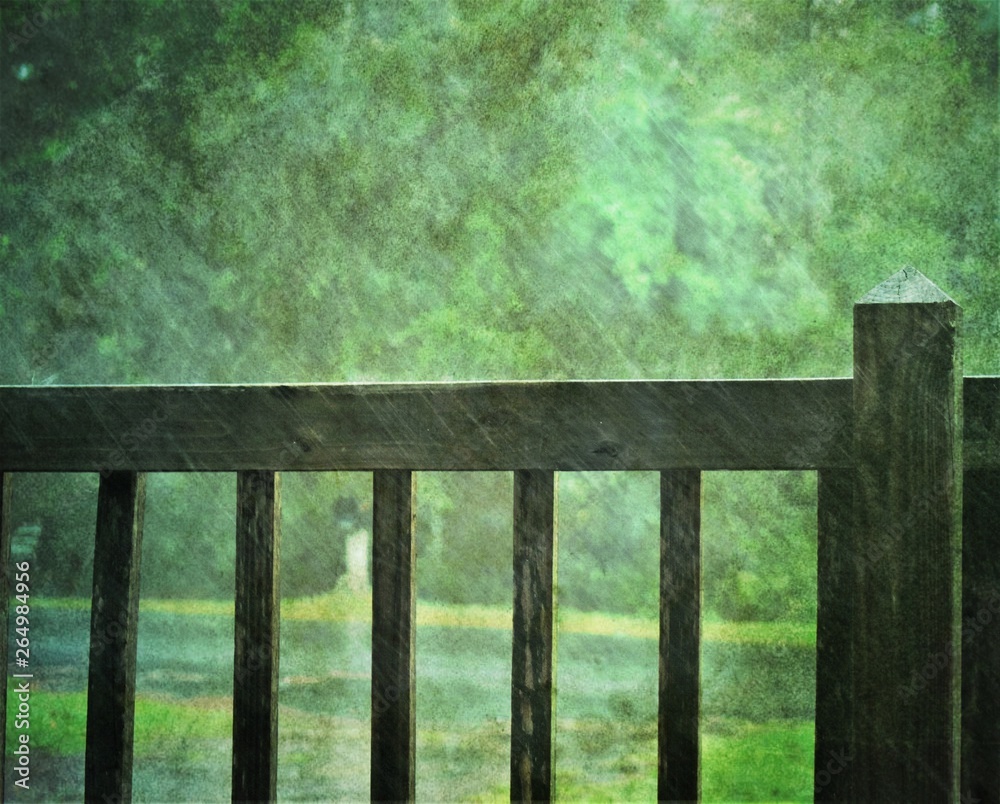 fence on tree background in rain