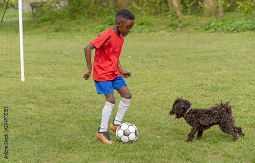 Hampshire, England, UK. April 2019. A young football player defending the goal during a traning session with his pet dog in a public park. photo