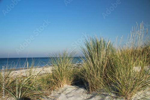 Strand mit Dünen