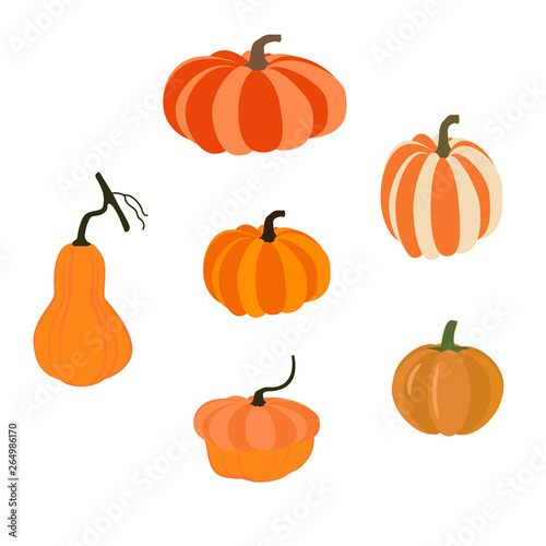 Pumpkin vegetable illustration