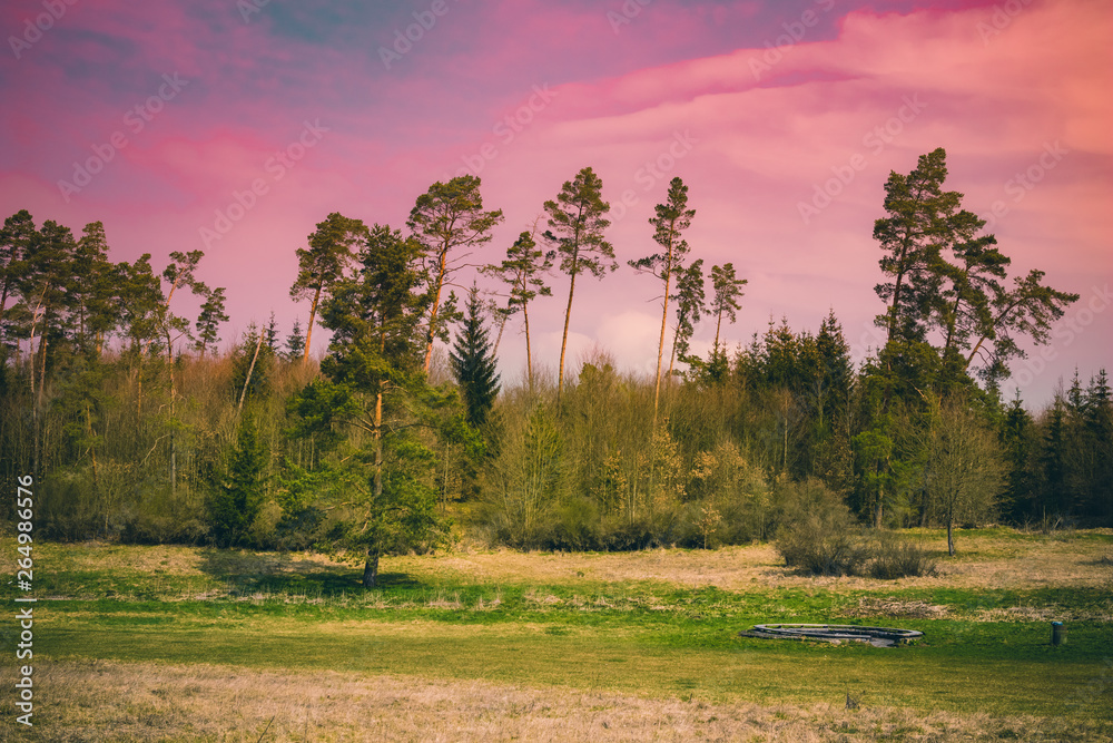 Obraz premium Free, open air grill place in the nature in magical evening colors