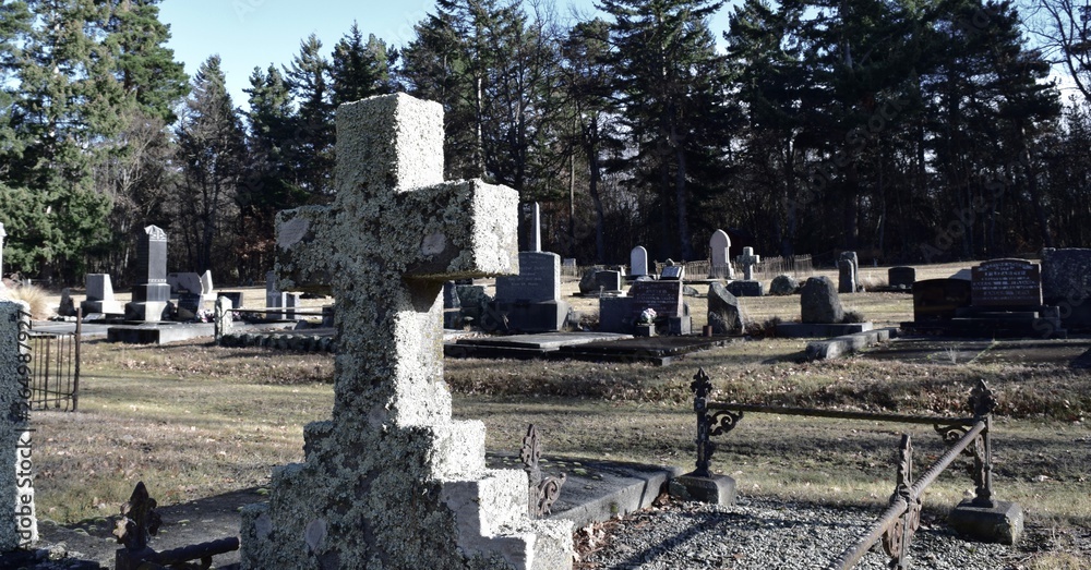 Fototapeta premium New Zealand Cemetery