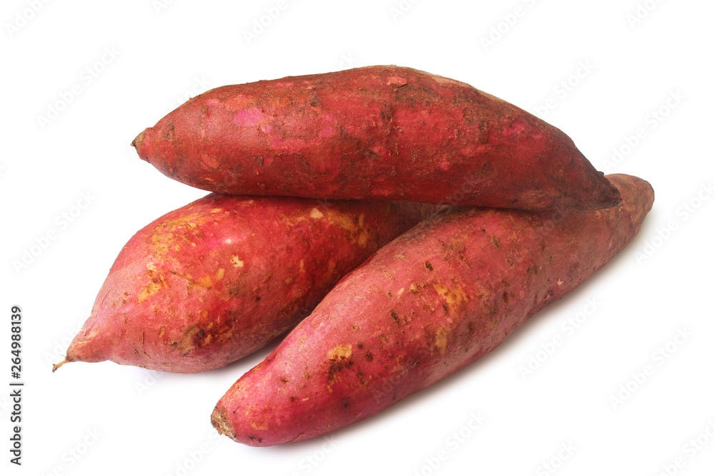 Purple yam head on white background.(with Clipping Path). Purple yam head on white background.(with Clipping Path).