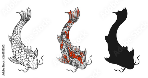 Koi fish vector tattoo by hand drawing.Beautiful fish on white background.Black and white graphics design art highly detailed in line art style.Carp fish for tattoo or wallpaper.