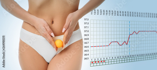 woman showing ovulation process holding near ovary ball like ovum. Fertile Human Egg on the background basal body temperature chart photo